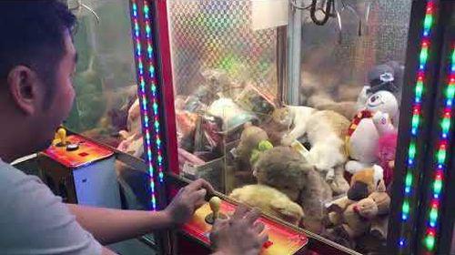 Cat_sleeping_in_claw_machine.jpg