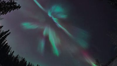 Coronal_aurora.jpg