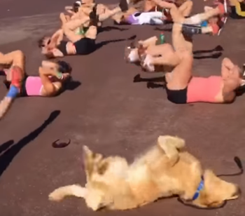 Golden_retriever_at_workout_class.png