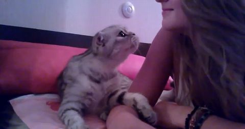 Most_Affectionate_Cat_ever.jpg