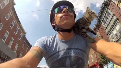My_cat_can_ride_a_bike.jpg
