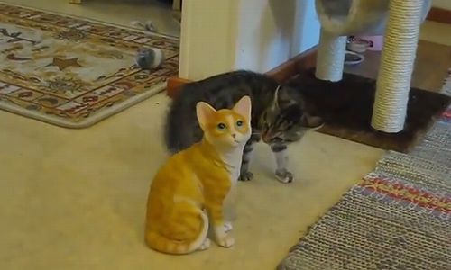 Kitten_Attacks_A_Ceramic_Cat.jpg