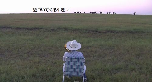 Serenading_the_cattle_with_my_trombone.jpg