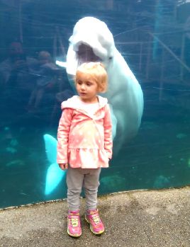 Beluga_Whale_kisses.jpg