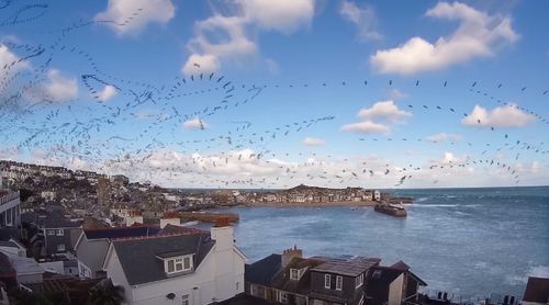 Seagull_Skytrails.jpg