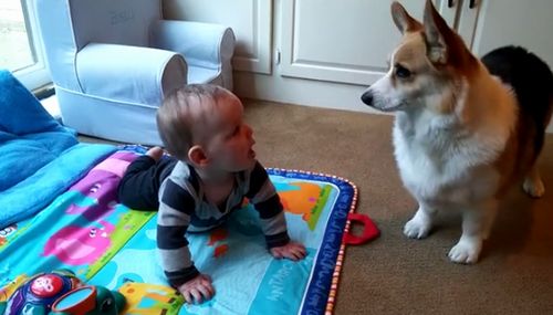 baby_and_corgi.jpg