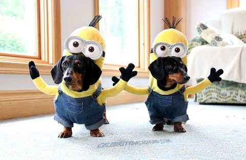 Wiener_Dog_Minions.png