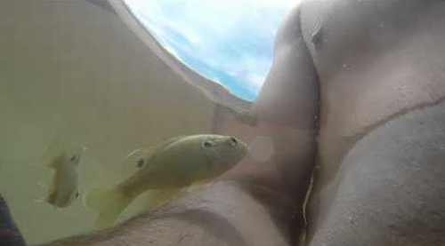 FISH_BITES_NIPPLE.png