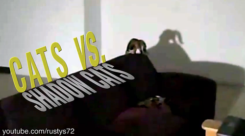 cats_vs_shadow.png