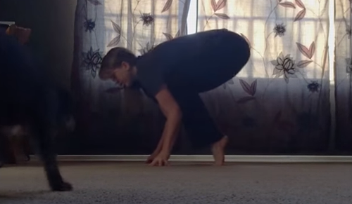 dog_interrupts_yoga.png