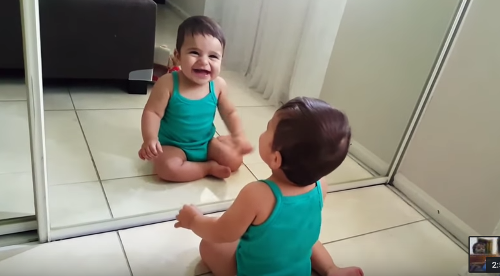 bebies_discovering_mirrors.png