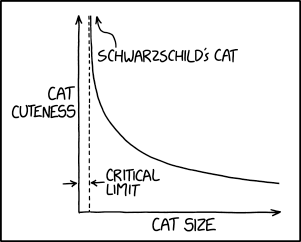 schwarzschilds_cat.png