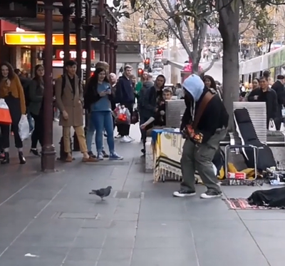 pigeon_jamming.png