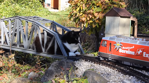 katze_vs_gartenbahn_iii.png