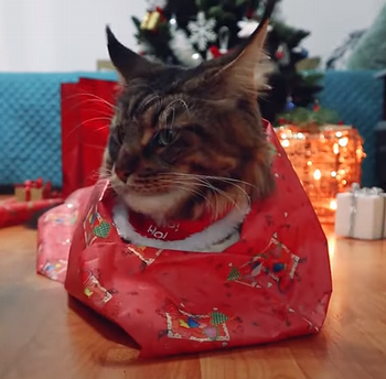 Christmas_gift_cat.png