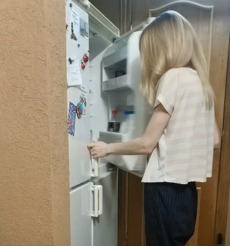 Kitty_Climbs_Into_Fridge.png