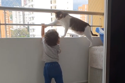 Cat_Keeps_Little_Human_Safe.png