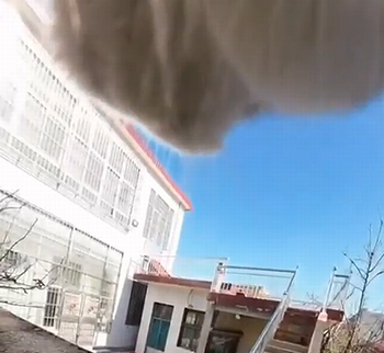 cat_pov.png