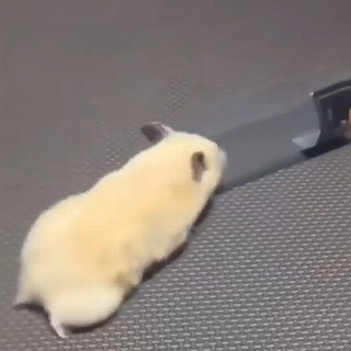 Liquid_hamster.png