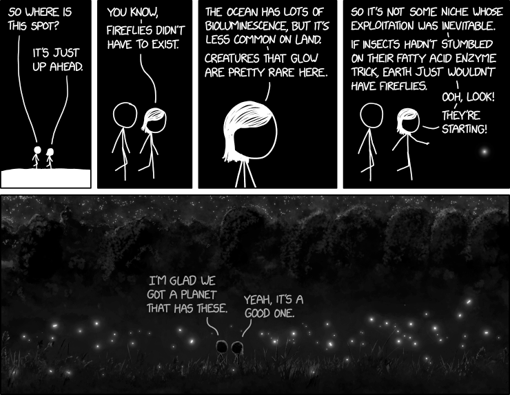 fireflies.png