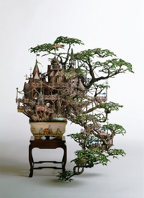 bonsai_tree_house_01.jpg