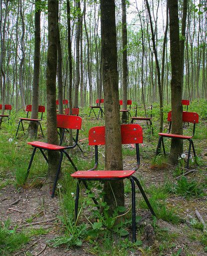 chair_trees.jpg