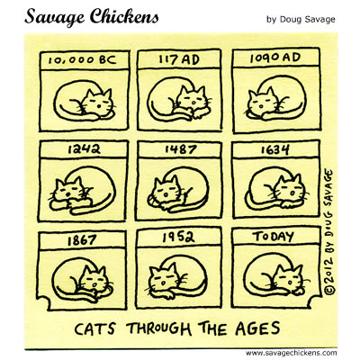 chickencathistory.jpg