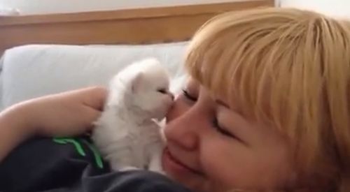 cute_kitten_kisses_my_face.jpg