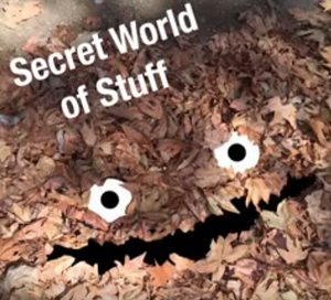 secret_world_of_stuff.png
