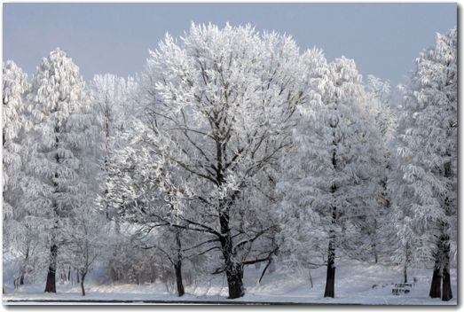 寒い冬が今年もやってきた